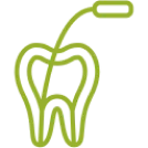 Canal radicular